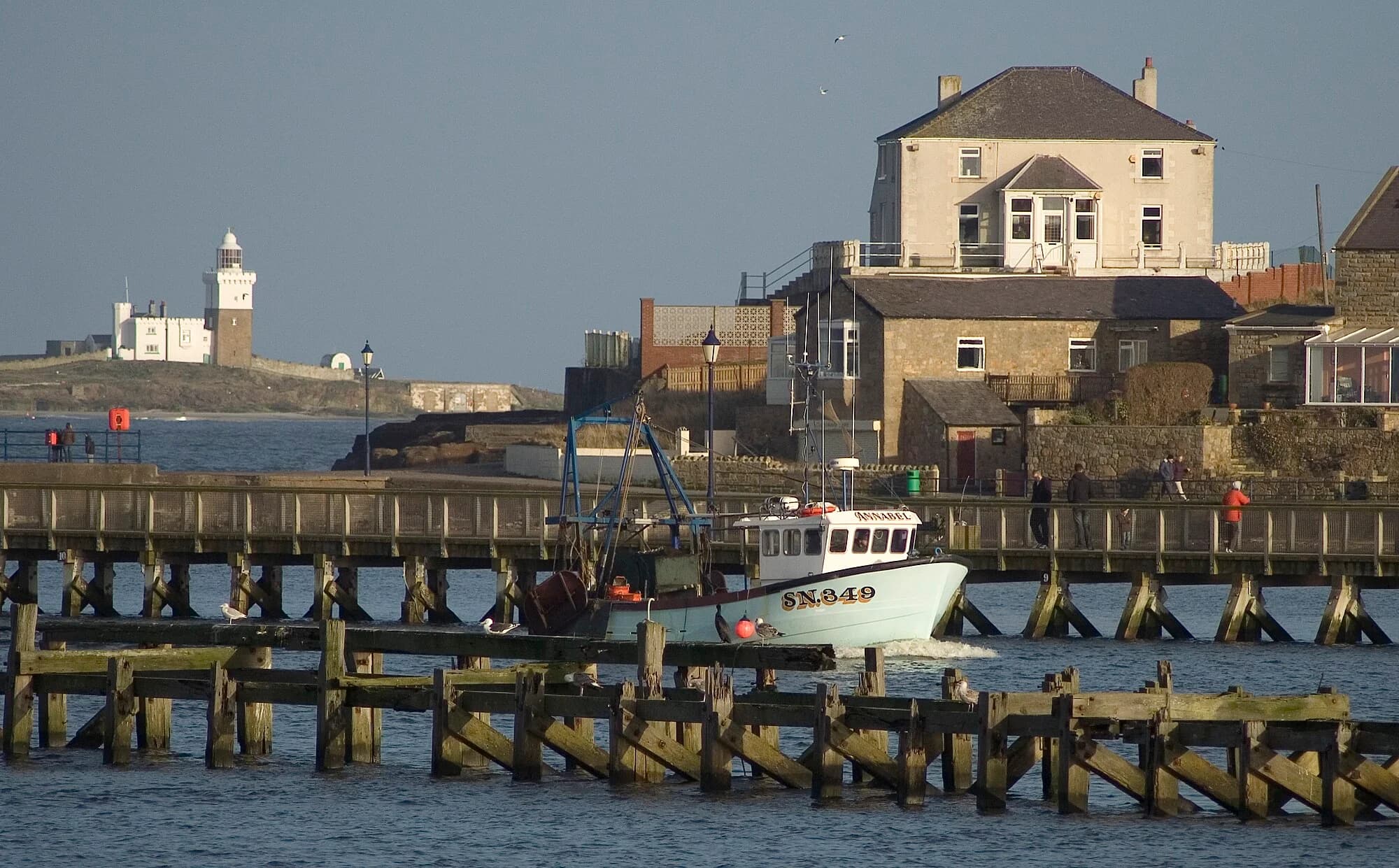 Vets in Amble