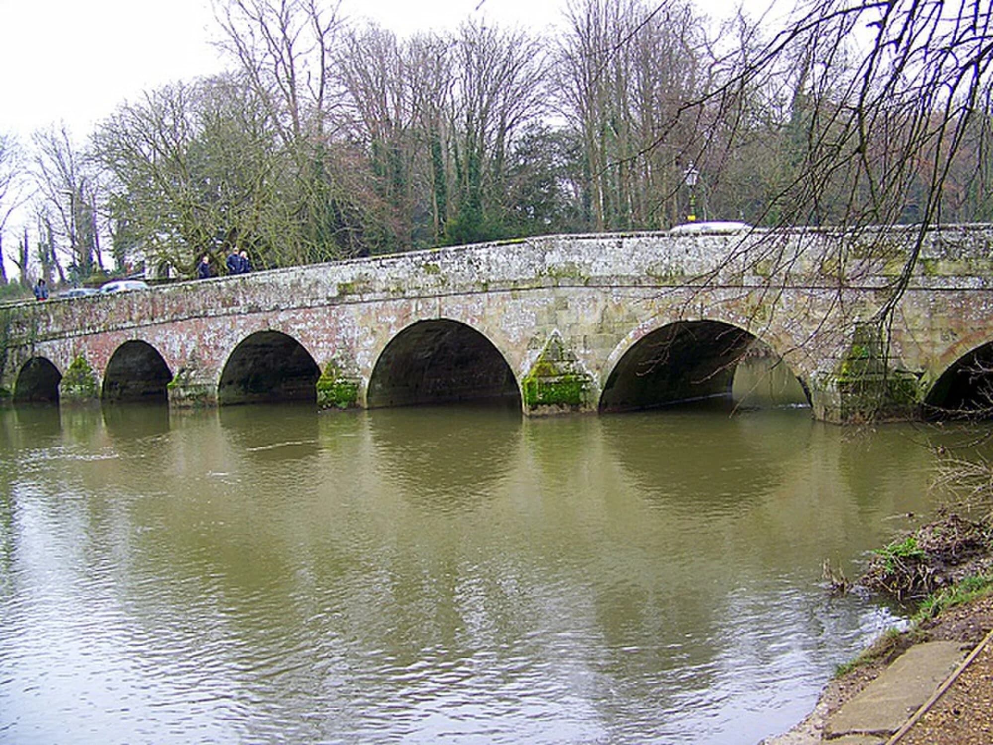 Vets in Blandford Forum