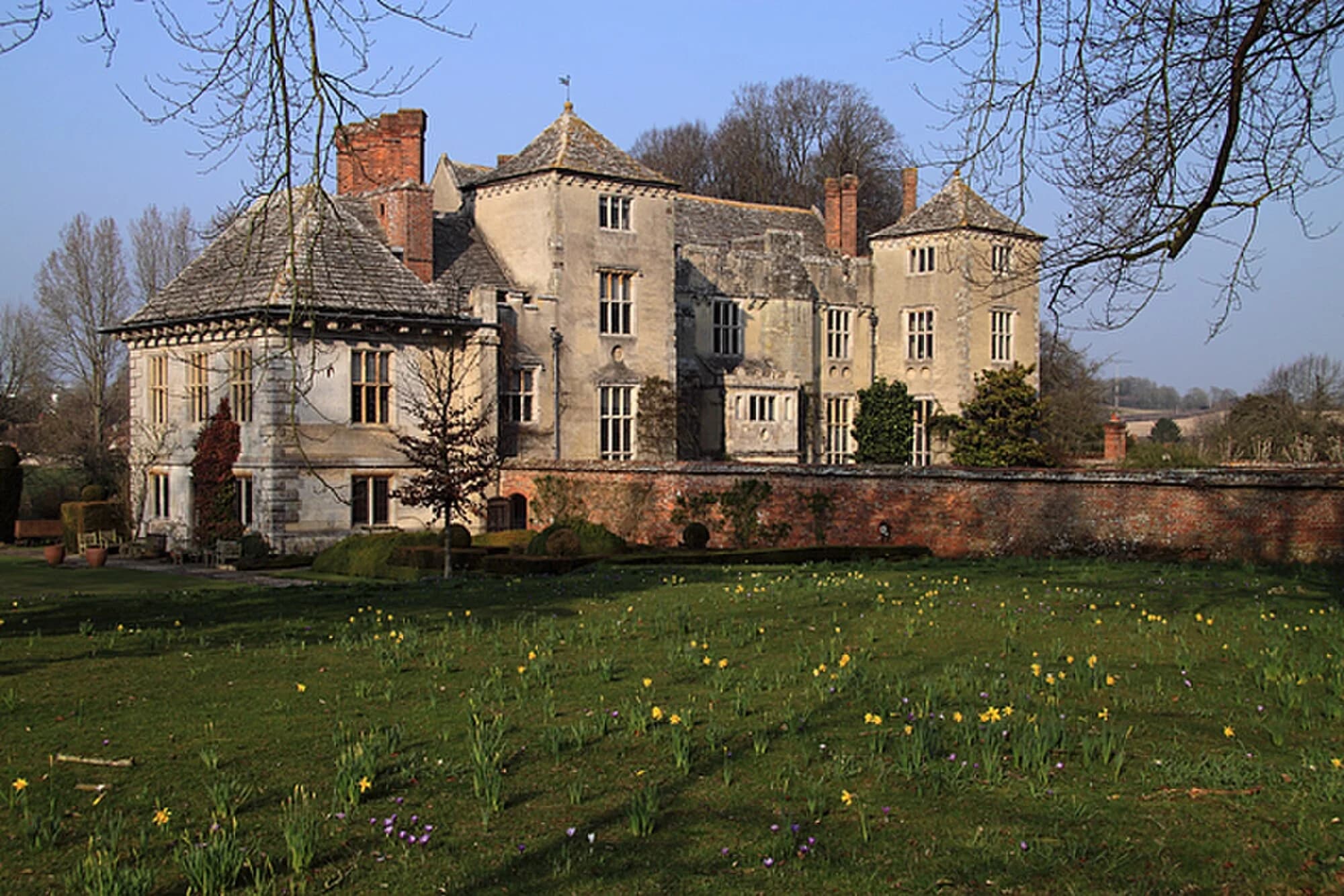 Vets in Cranborne