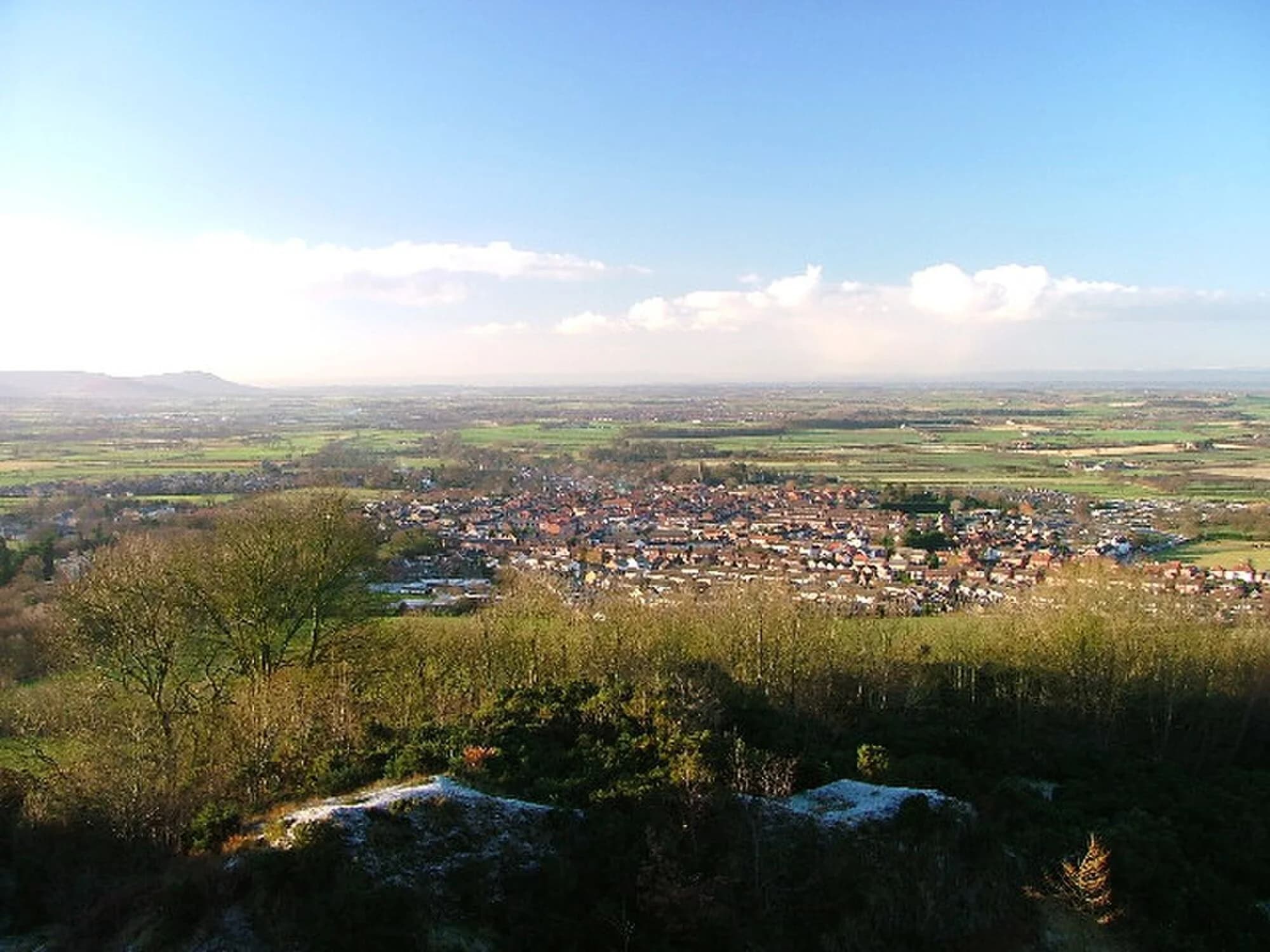 Vets in Great Ayton
