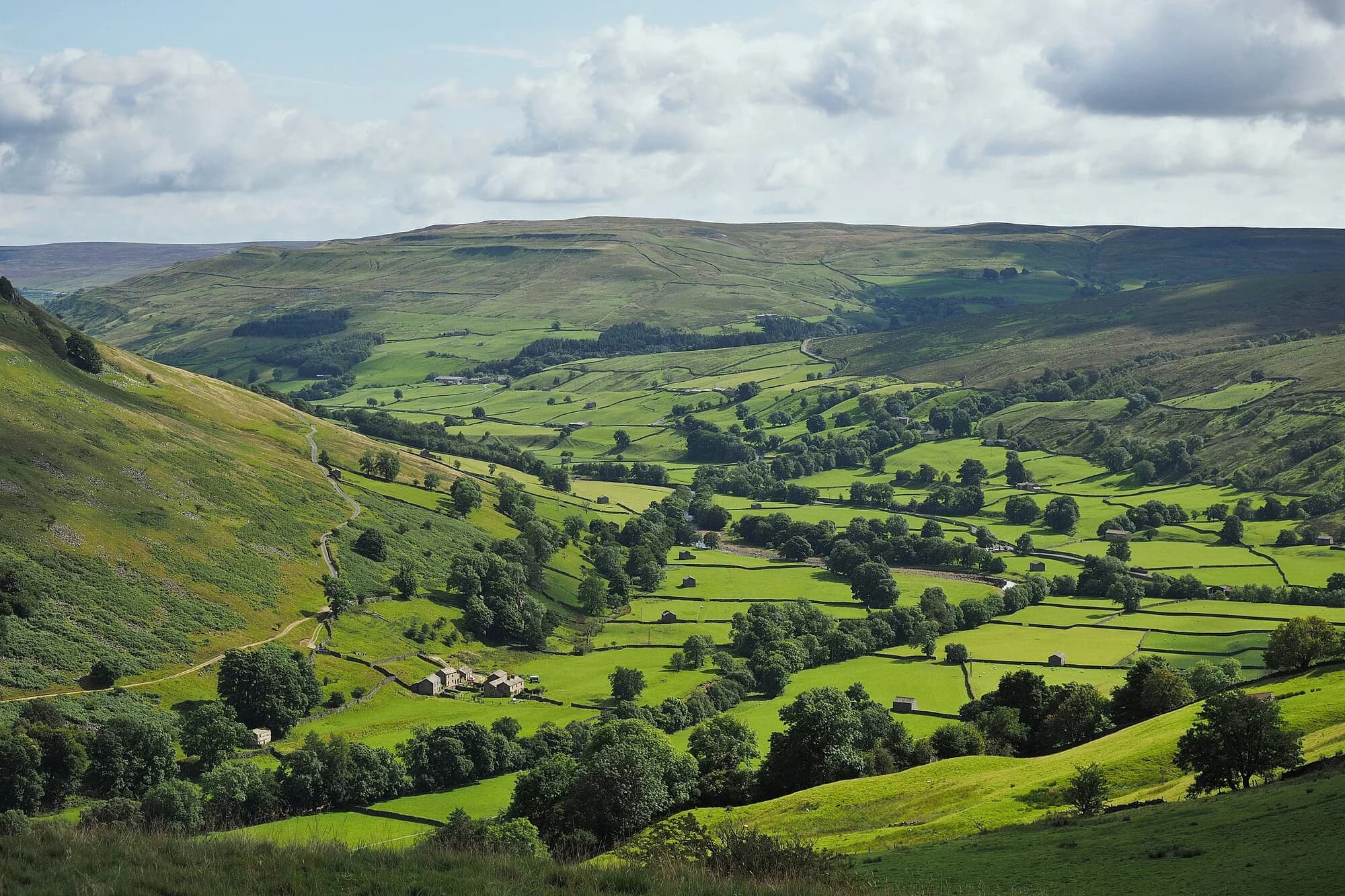 Vets in Hawes